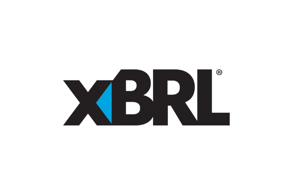 Kooperationen Slide 7 - xBRL-Icon